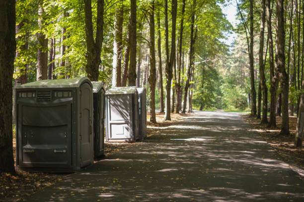 Best High-end porta potty rental  in Breezy Point, MN